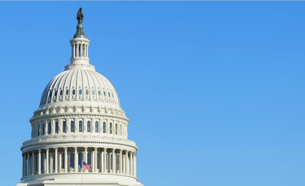 The United States Capitol Building dome