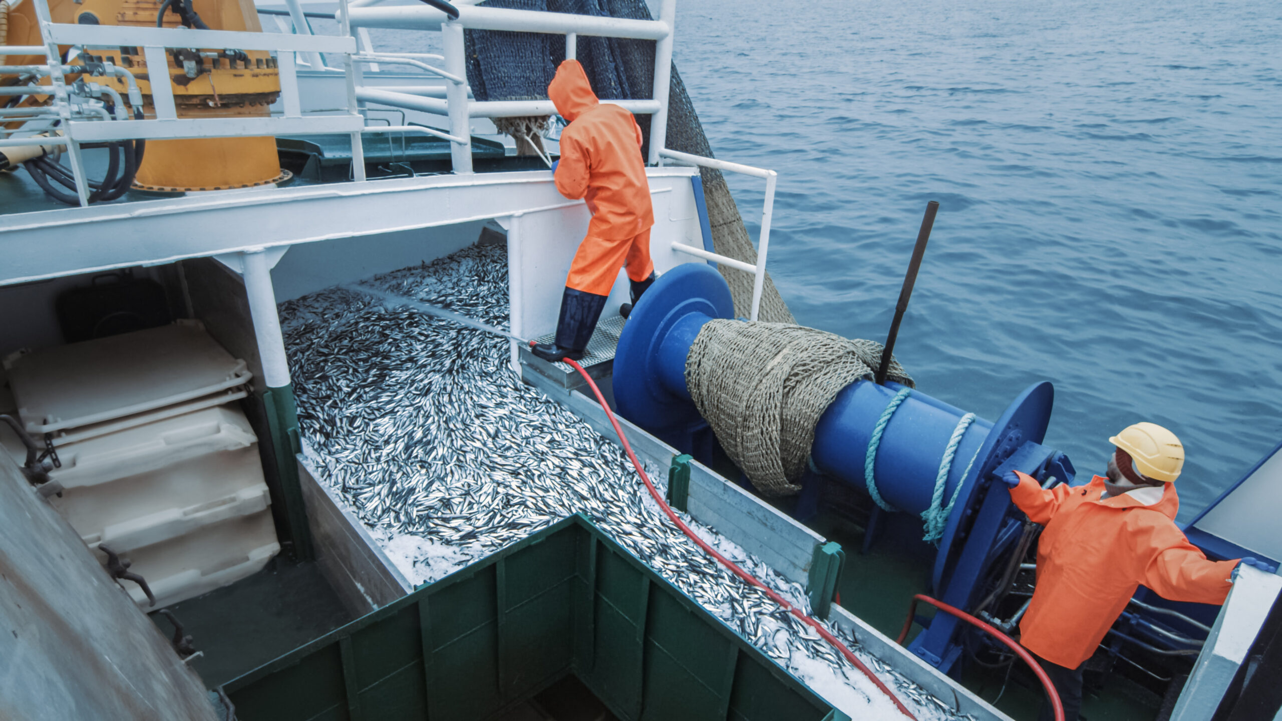 Crew of fishermen with an open trawl net on a commercial fishing boat